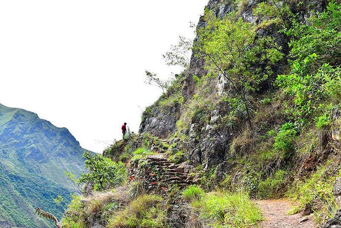 07 Day: Inca Jungle Adventure with Mountain Bike, Rafting, Zipline & Trek - Malaga Pass downhill: biking from 4,350 m to the jungle towns