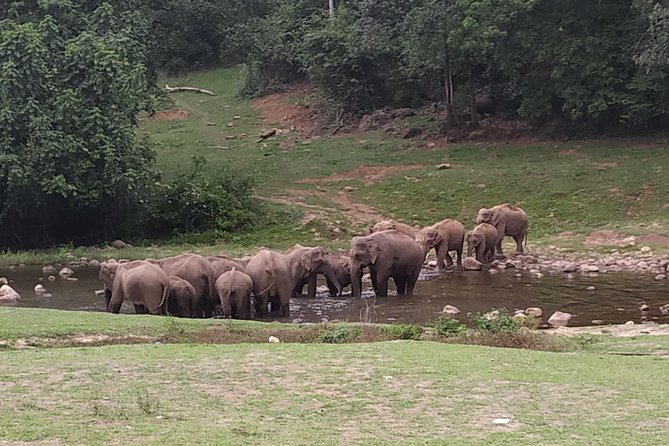 1 Day Activity Adventure Trekking Kerala - Key Highlights You’ll Feel Immediately