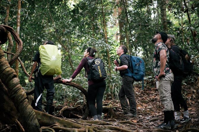 1 Day Ethical Jungle Trekking - Bukit Lawang as Your Gateway to Gunung Leuser