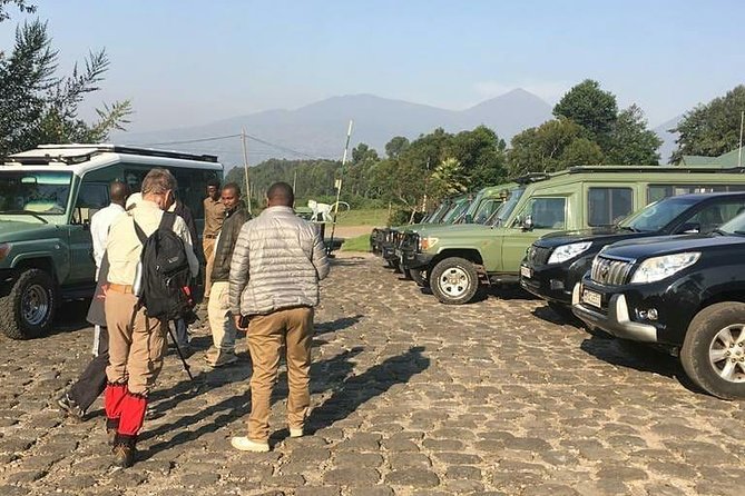 1 Day Gorilla Trekking Rwanda - Why This 1-Day Gorilla Trek Works in Rwanda