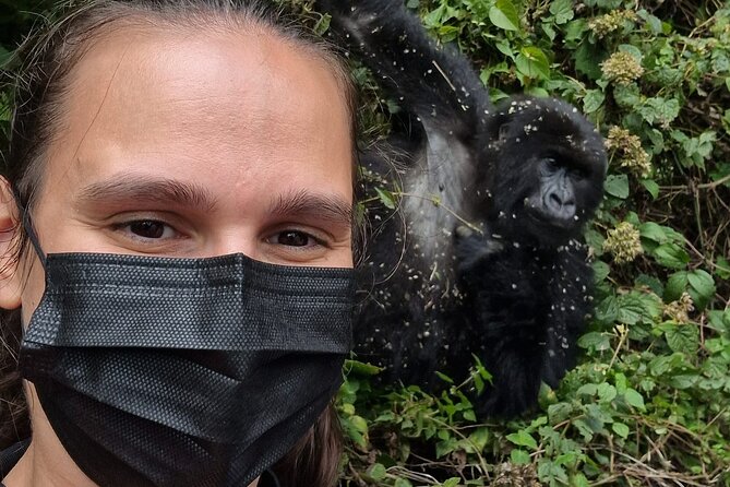 1 Day Gorilla Trekking Safari in Rwanda Volcanoes National Park - The 4:30 am pickup: why the early start pays off
