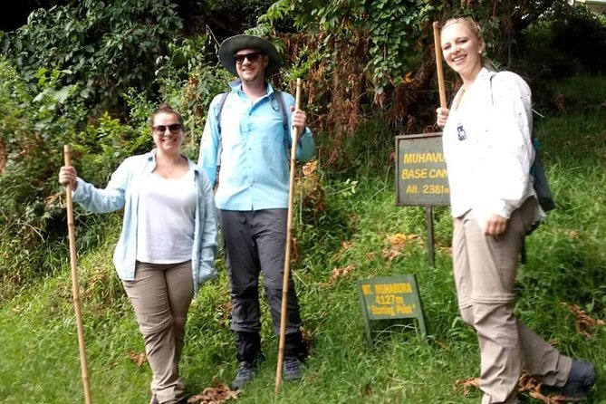 1 Day Gorilla Trekking Uganda - What gorilla tracking feels like on foot