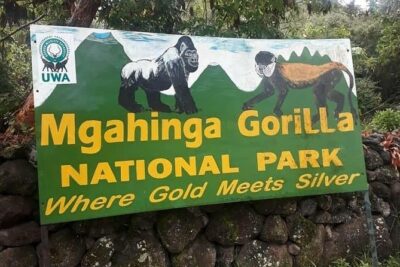 1 Day Gorilla Trekking Uganda - Visa and border timing: plan around paperwork, not luck