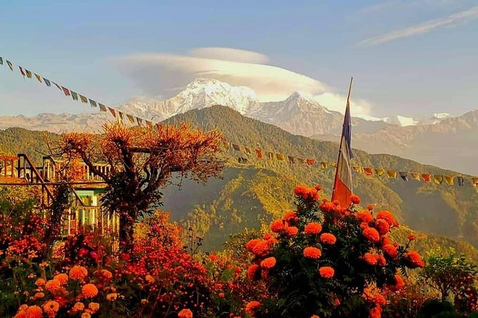 1-Day Private Dhampus Trekking Tour - A quick, practical look at the Dhampus plan