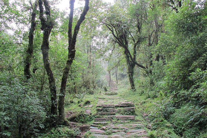 1-Day Private Dhampus Trekking Tour - Difficulty level: moderate effort with real numbers