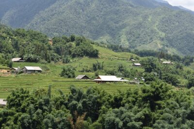 1-Day Private Trekking in Sapa through Terraces Rice Fields - Price and value: $49 for a full 6–7 hour private day