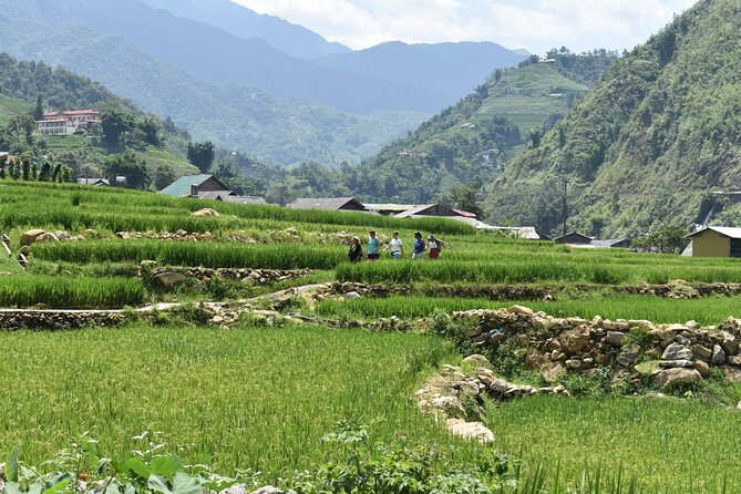 1-Day Private Trekking in Sapa through Terraces Rice Fields - The route choice: why this trek isn’t the same as the main roads