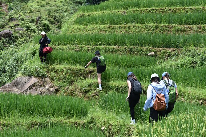 1-Day Private Trekking in Sapa through Terraces Rice Fields - Lao Chai Trail: rice fields like silk ribbons and valley depth