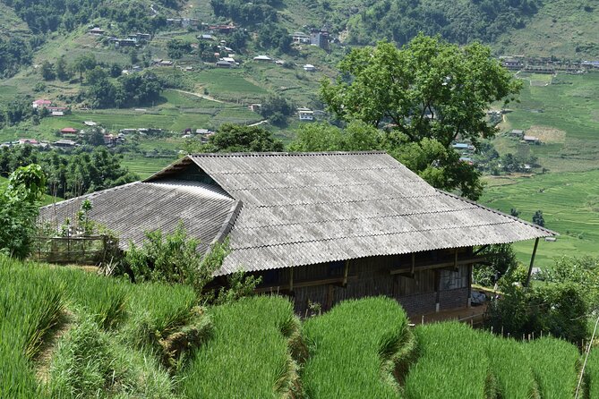 1-Day Private Trekking in Sapa through Terraces Rice Fields - Ta Van Village: the multi-ethnic stop near the Muong Hoa stream