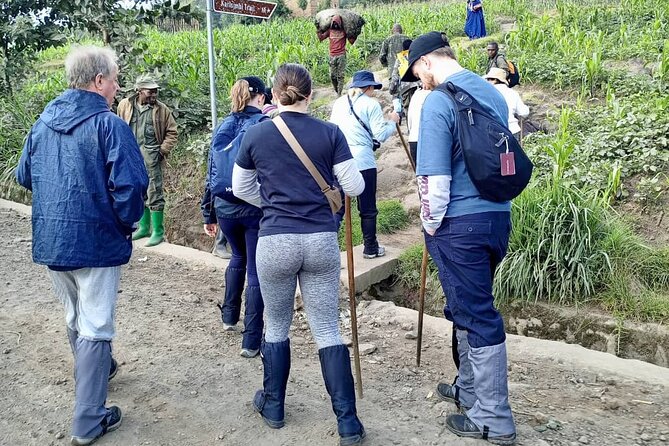 1 Day Rwanda Gorilla Trekking Tour - Key Highlights to Know Before You Go