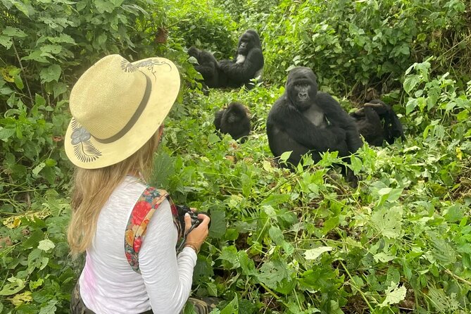 1 Day Rwanda Gorilla Trekking Tour In The Volcanoes National Park - The Trek Itself: 2 to 5 Hours of Jungle Tracking