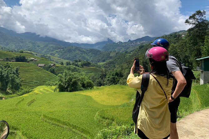 1 Day Sapa Authentic Trekking ( off beaten track ) - Pine forest to rice terraces: what you’ll see on the trail
