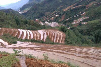 1 Day Sapa Authentic Trekking ( off beaten track ) - Ta Phin Village and the village route that shapes the day