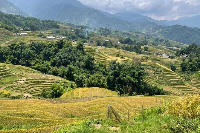 1 Day Sapa Authentic Trekking ( off beaten track ) - Corn fields, black limestone, and the last stretch feel