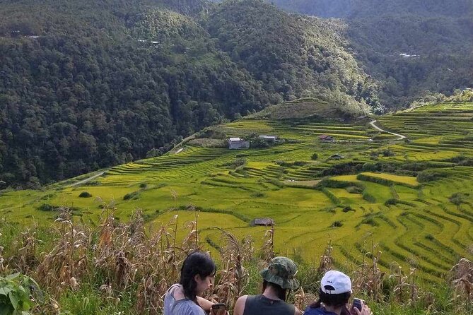 1 Day Sapa Authentic Trekking ( off beaten track ) - Price and value: what $39 actually buys you