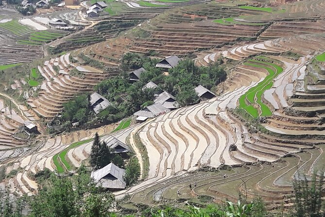 1 Day Sapa Authentic Trekking ( off beaten track ) - Who should book this trek (and who should choose carefully)