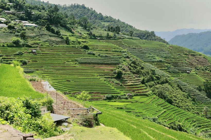 1-Day Sapa Long Trek - Rice Field Terrace, Ethnic Culture - Cloth, Natural Dyes, and the Walk Toward Ta Van