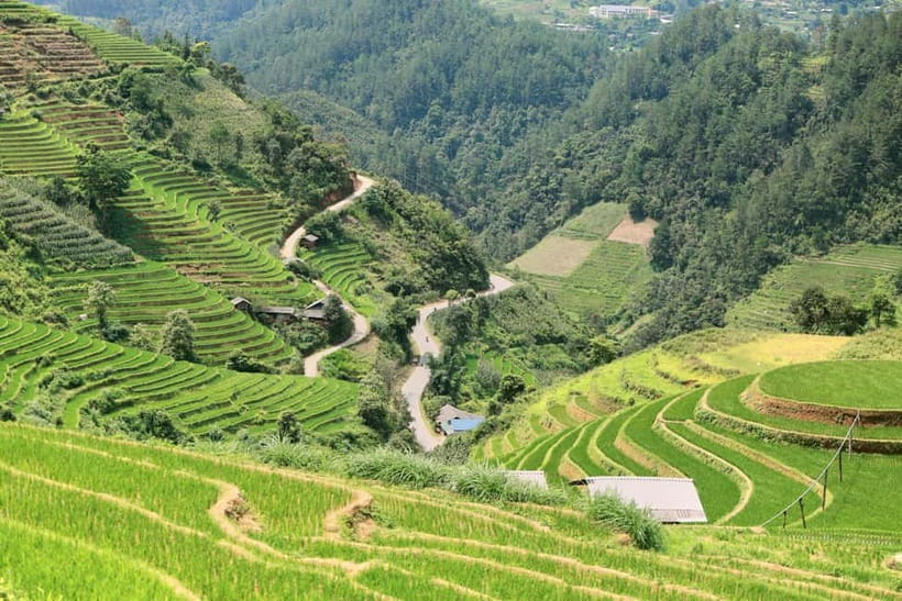 1-Day Sapa Long Trek - Rice Field Terrace, Ethnic Culture - How Tough Is This Trek? Mud, Steps, and Pace Choices