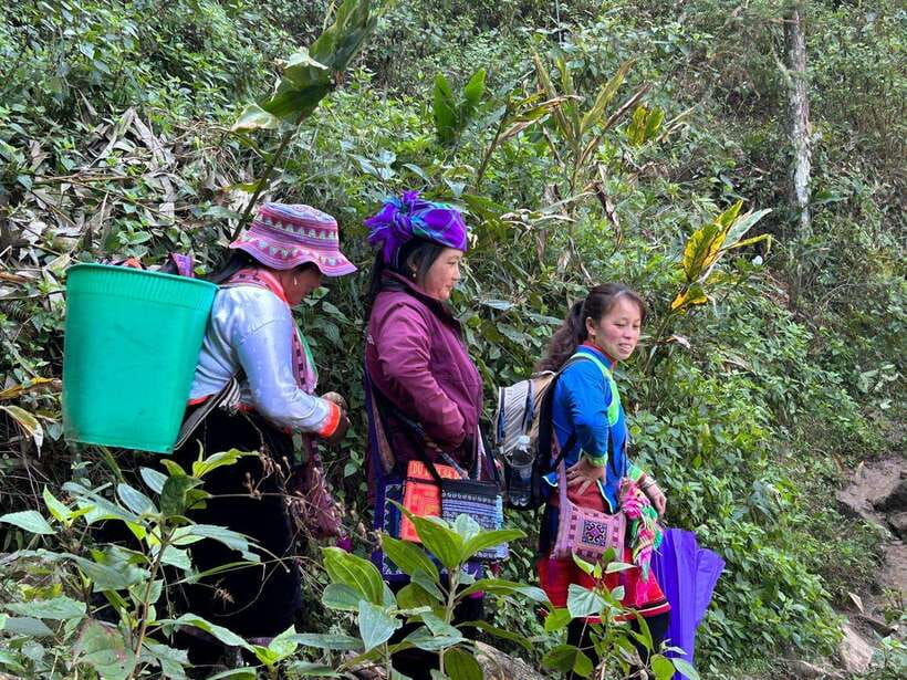 1 Day Sapa Trek&Home-cooked Lunch HmongSisterHouse&Trekking - From Sapa Town to the trailhead: what your morning is really like