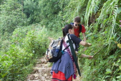 1 Day Sapa Trek&Home-cooked Lunch HmongSisterHouse&Trekking - Following the Hmong market path: rice paddies and village sightlines