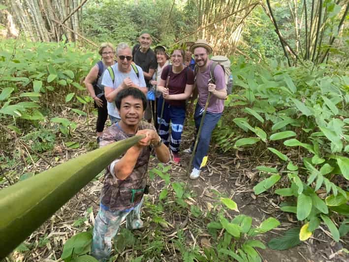 1 Day trekking : Chiang Rai popular activity,Fun in Nature. - Hot spring to Lisu village: bamboo forest walking you can feel