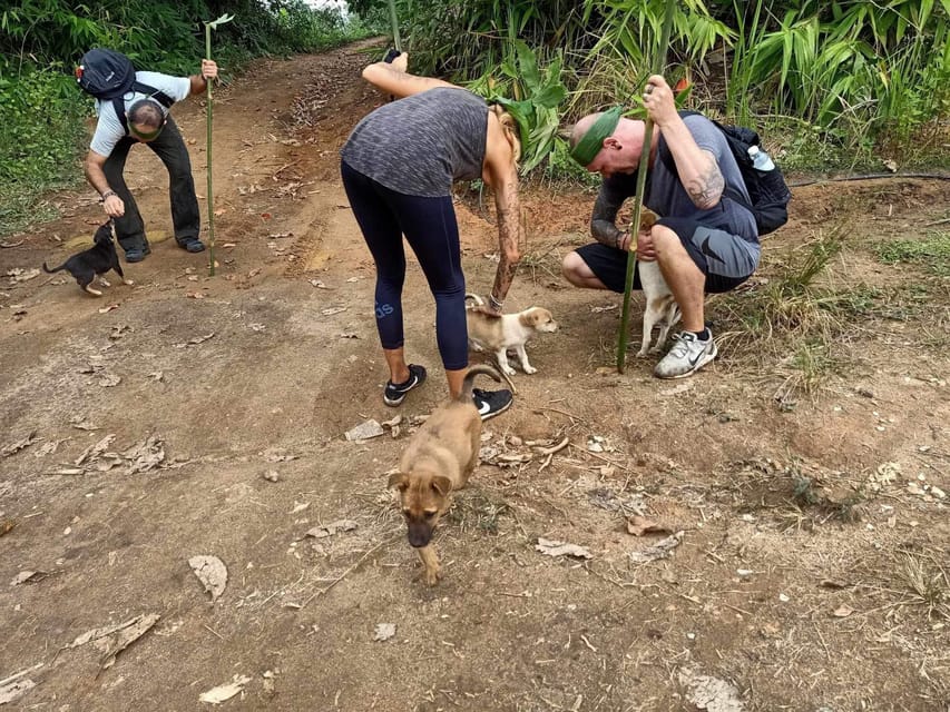 1 Day trekking : Chiang Rai popular activity,Fun in Nature. - Lunch in a bamboo hut: cooking with firewood (no LPG)
