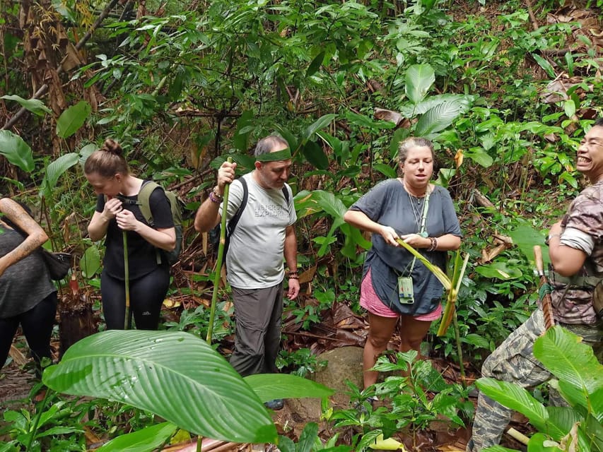 1 Day trekking : Chiang Rai popular activity,Fun in Nature. - Chinese village, tea plantation, and the waterfall timing that works