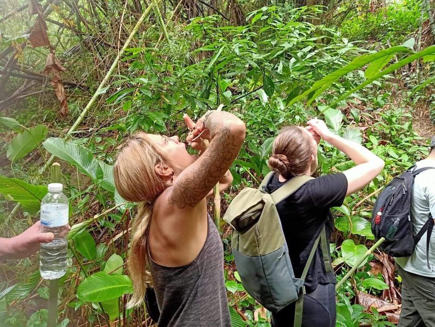 1 Day trekking : Chiang Rai popular activity,Fun in Nature. - Hot bath at the hot spring: recovery without drama