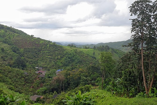 1 Day Trekking Group Tour With Bamboo Cooking / Chiang Rai - What You’re Really Getting for $58.66 in Chiang Rai