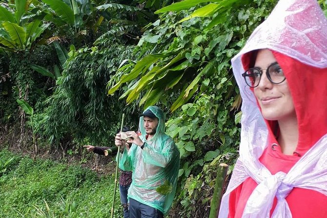 1 Day Trekking Group Tour With Bamboo Cooking / Chiang Rai - Hilltribe Villages, Lahu and Akha Life, and a Chinese Tea Stop