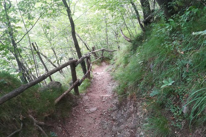 1 Day Trekking - Il Sentiero del Viandante: BELLANO. VARENNA - The Hike Between Bellano and Varenna: Staying on Track