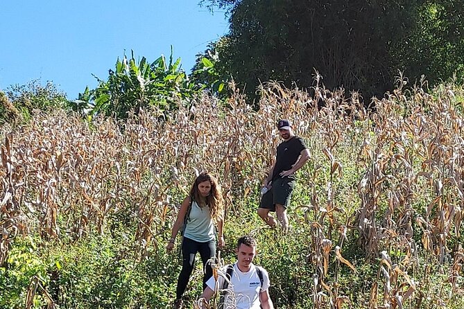 1 Day Trekking in Chiang Mai - What Can Be Tricky: Pace, Weather, and Water Activities