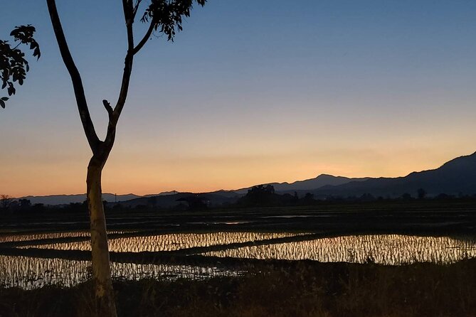 1 Day Trekking in Chiang Mai - Price and Logistics: Is $94.01 Good Value?