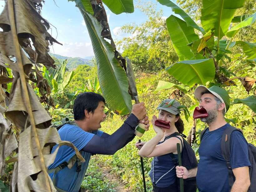 1 Day Trekking in Chiang Rai forest (walk only) - From hot springs out into the forest: how the day starts