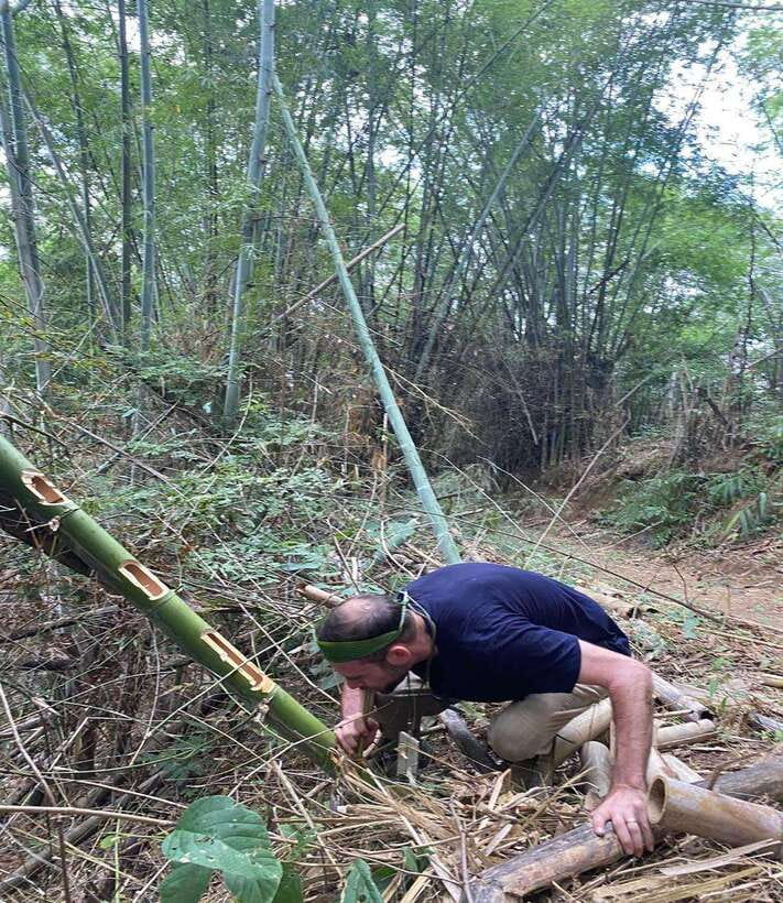 1 Day Trekking in Chiang Rai forest (walk only) - Tea plantations and a Chinese village: the quieter cultural bits