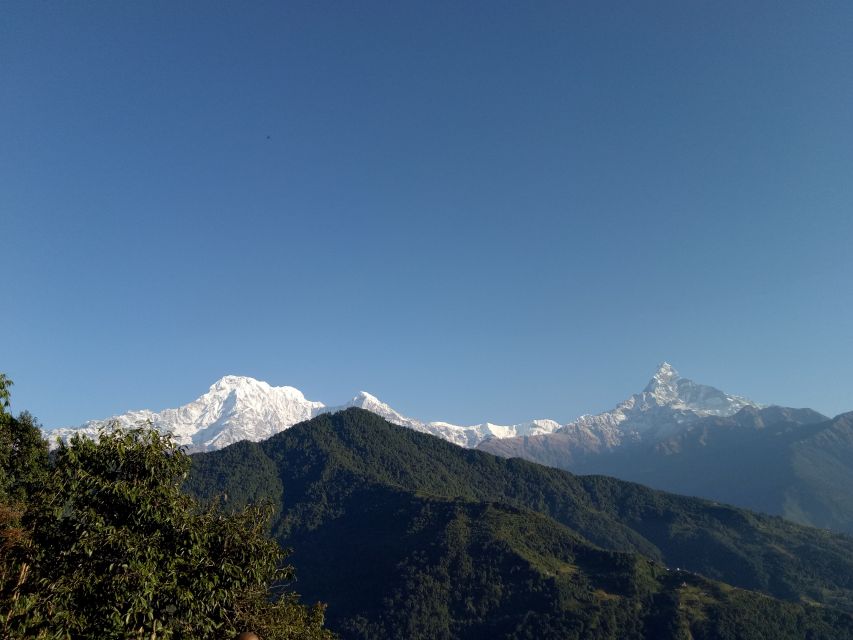 1 N 2 Days easy Dhampus,Australian camp trek from Pokhara - Why this 2-day Annapurna taste feels worth your time