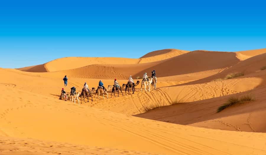 1 night Camel Trek in Merzouga Desert - Camel ride reality check: comfort, photos, and pacing