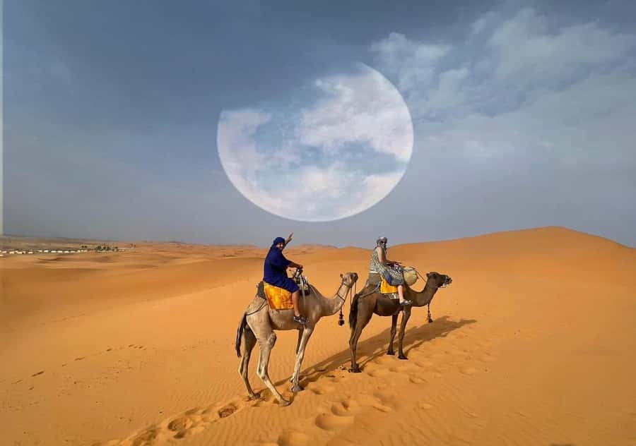1 night Camel Trek in Merzouga Desert - Dinner, breakfast, and the drinks note you should plan for