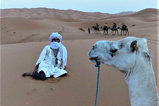 1 night Camel trek in Merzouga Desert Luxury Camp NO EXTRA - Comfort and Logistics That Actually Matter