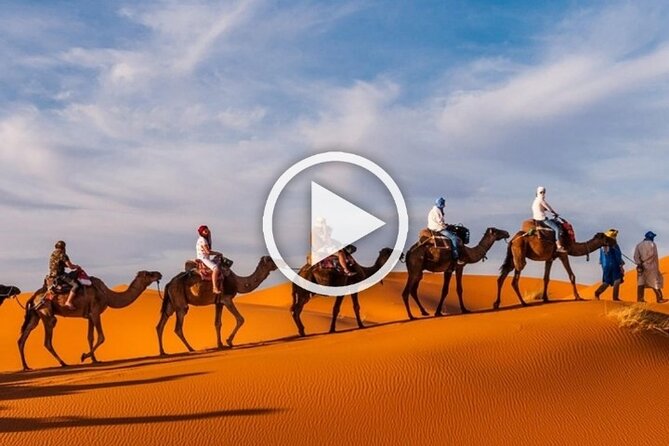 1 Night Camel Trekking in Merzouga - Sunrise hike and the return to Merzouga: breakfast, shower options, and decompression time