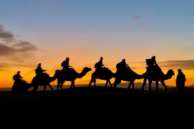 1 Night Camel Trekking in Merzouga - Optional 4WD to the Lake of Merzouga: how to decide