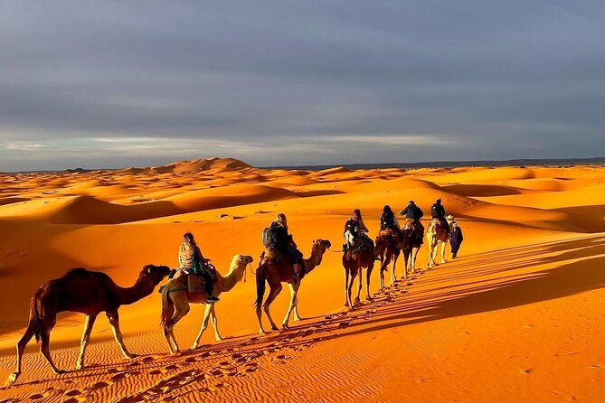 1 Night Camel Trekking in Merzouga - Price and value: what $58.07 really buys you in the Sahara