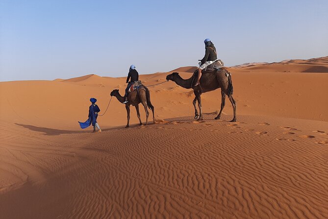 1 Night Camel Trekking in Merzouga - Who this private camel trek is best for (and who should think twice)