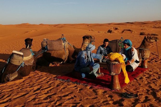 1 Night Camel Trekking Tour in Merzouga Desert Camp - Sunrise return to Merzouga: breakfast, shower, and the wrap-up