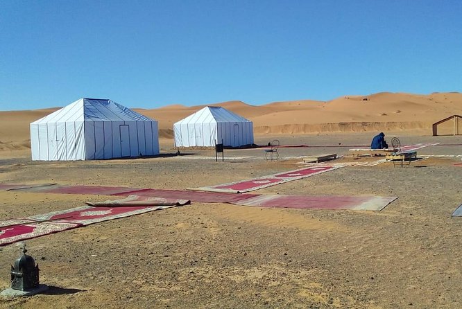 1 Night Camel Trekking Tour in Merzouga Desert Camp - Price and value: what you’re really paying for at about $63.97