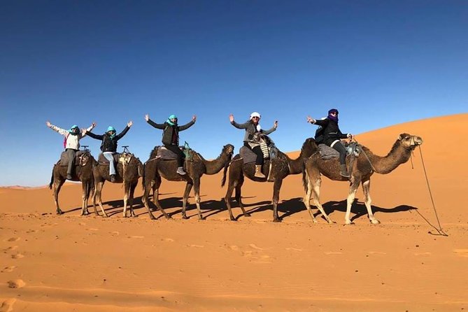 1 Night Camel Trekking Tour in Merzouga Desert Camp - Sunset tea, drums, and dinner under the stars at the desert camp