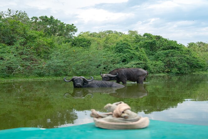 10 Days Affordable Gorilla Trekking Holiday - Entebbe arrival: easy start, real Uganda pace