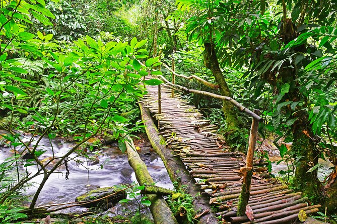 10 Days Affordable Gorilla Trekking Holiday - Lake Mburo and Mbarara: cycling safari plus real culture stop