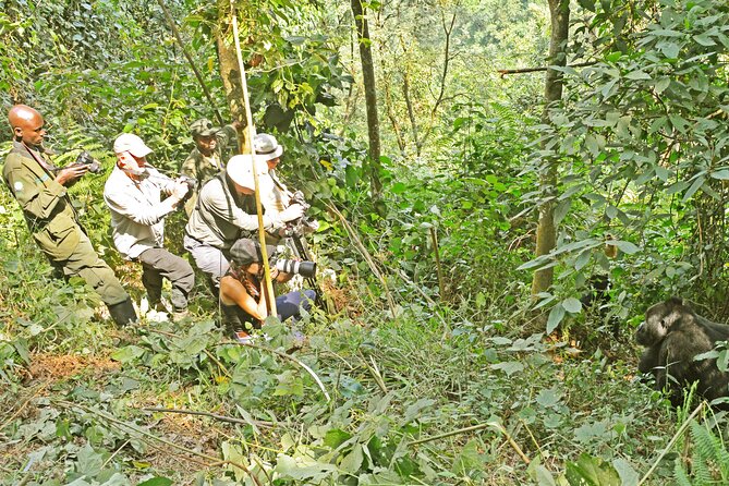10 Days Affordable Gorilla Trekking Holiday - Day ten in Entebbe: cycling, equator stop, then homeward
