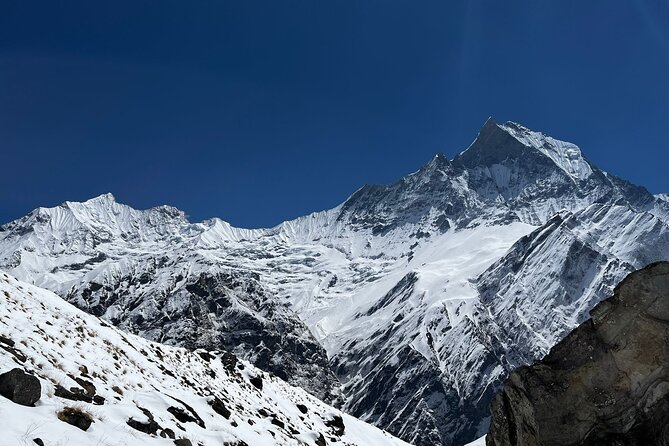 10 days Annapurna Base Camp Trek - Forest Ridges to the Sanctuary Gateway: Sinuwa, Kuldigarth, Dovan